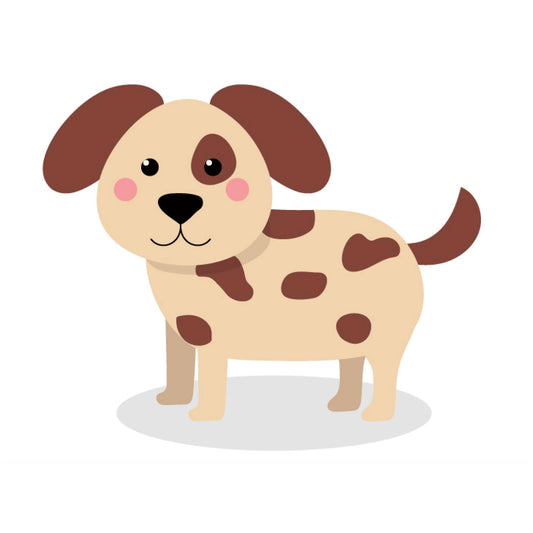 Reggie Pak travel activity pack for boys age 9+ - Paks4kidz